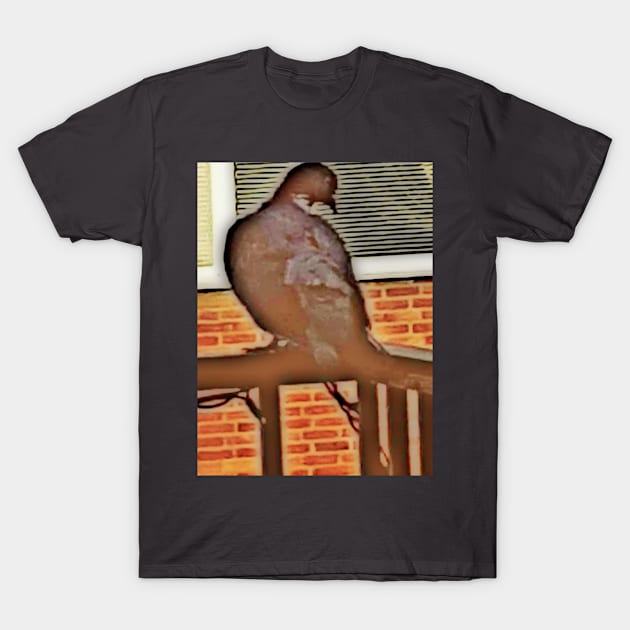 Pigeon on the Balcony T-Shirt by Alemway